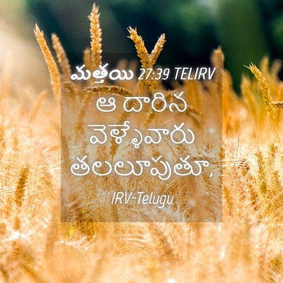 Picture 04 - మత్తయి 27:39 TELIRV - ఆ దారిన - Bible Verse Picture