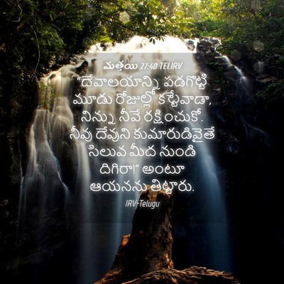 Picture 04 - మత్తయి 27:40 TELIRV - “దేవాలయాన్ని - Bible Verse Picture