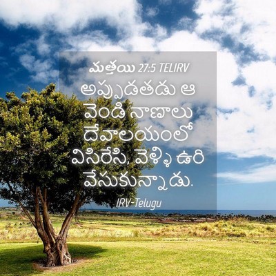 Picture 04 - మత్తయి 27:5 TELIRV - అప్పుడతడు ఆ వెండి - Bible Verse Picture