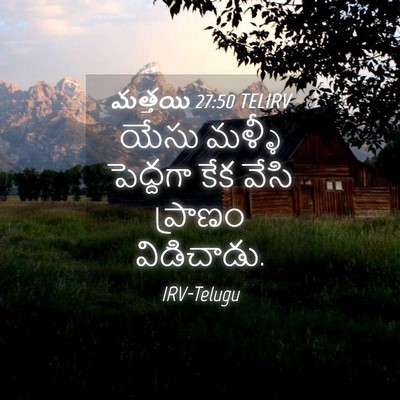 Picture 04 - మత్తయి 27:50 TELIRV - యేసు మళ్ళీ - Bible Verse Picture