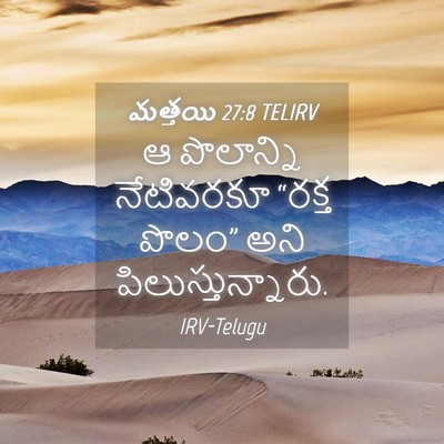 Picture 04 - మత్తయి 27:8 TELIRV - ఆ పొలాన్ని - Bible Verse Picture