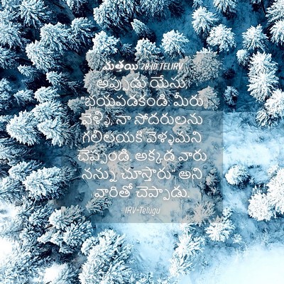 Picture 04 - మత్తయి 28:10 TELIRV - అప్పుడు యేసు, - Bible Verse Picture