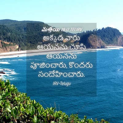 Picture 04 - మత్తయి 28:17 TELIRV - అక్కడ వారు ఆయనను - Bible Verse Picture