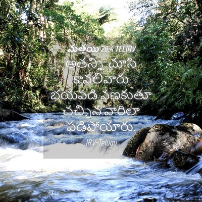 Picture 04 - మత్తయి 28:4 TELIRV - అతన్ని చూసి - Bible Verse Picture