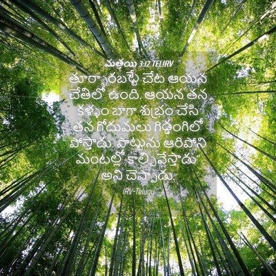 Picture 04 - మత్తయి 3:12 TELIRV - తూర్పారబట్టే చేట - Bible Verse Picture