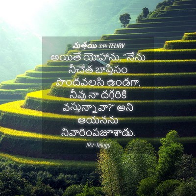 Picture 04 - మత్తయి 3:14 TELIRV - అయితే యోహాను, - Bible Verse Picture