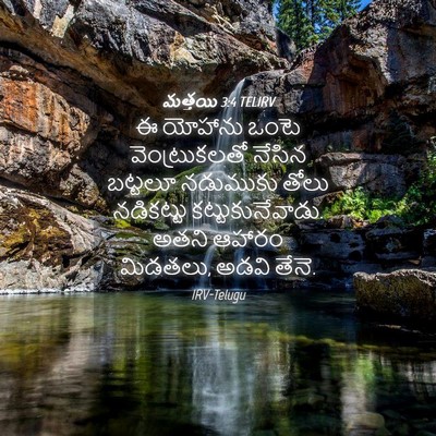 Picture 04 - మత్తయి 3:4 TELIRV - ఈ యోహాను ఒంటె - Bible Verse Picture