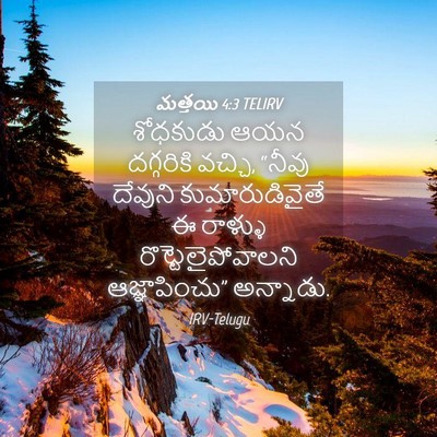 Picture 04 - మత్తయి 4:3 TELIRV - శోధకుడు ఆయన - Bible Verse Picture