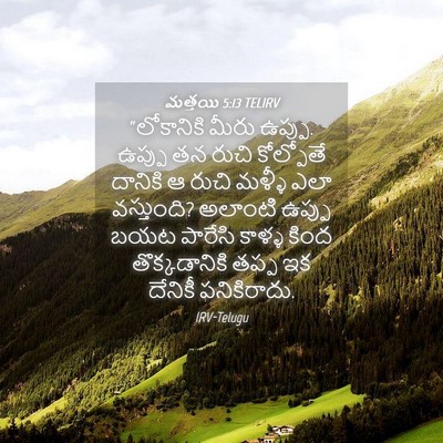 Picture 04 - మత్తయి 5:13 TELIRV - “లోకానికి మీరు - Bible Verse Picture