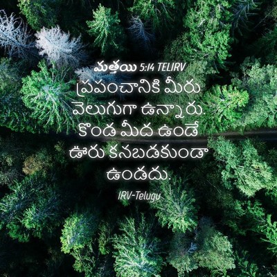 Picture 04 - మత్తయి 5:14 TELIRV - ప్రపంచానికి మీరు - Bible Verse Picture