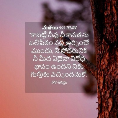 Picture 04 - మత్తయి 5:23 TELIRV - “కాబట్టి నీవు నీ - Bible Verse Picture