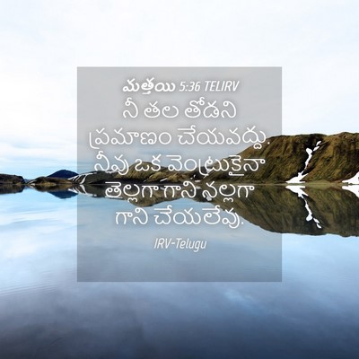 Picture 04 - మత్తయి 5:36 TELIRV - నీ తల తోడని - Bible Verse Picture