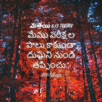 Picture 04 - మత్తయి 6:13 TELIRV - మేము పరీక్షల పాలు - Bible Verse Picture