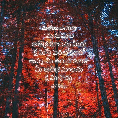 Picture 04 - మత్తయి 6:14 TELIRV - “మనుషుల - Bible Verse Picture