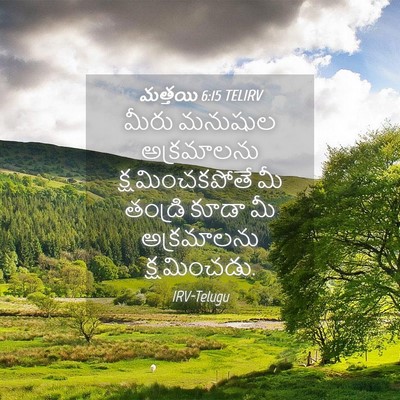 Picture 04 - మత్తయి 6:15 TELIRV - మీరు మనుషుల - Bible Verse Picture