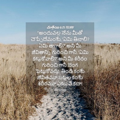 Picture 04 - మత్తయి 6:25 TELIRV - “అందువల్ల నేను - Bible Verse Picture