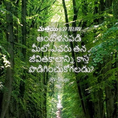 Picture 04 - మత్తయి 6:27 TELIRV - ఆందోళనపడి మీలో - Bible Verse Picture
