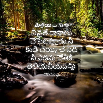 Picture 04 - మత్తయి 6:3 TELIRV - నీవైతే దానాలు - Bible Verse Picture