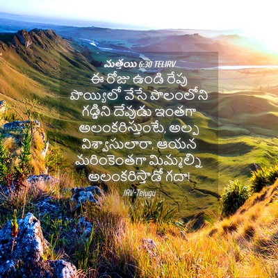 Picture 04 - మత్తయి 6:30 TELIRV - ఈ రోజు ఉండి రేపు - Bible Verse Picture