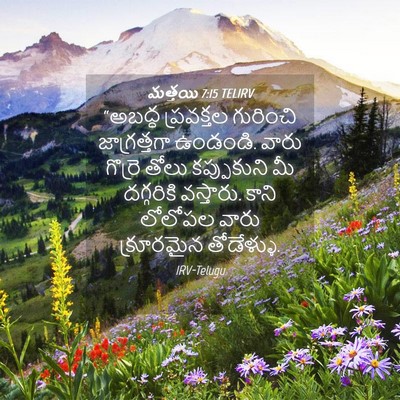 Picture 04 - మత్తయి 7:15 TELIRV - “అబద్ధ ప్రవక్తల - Bible Verse Picture