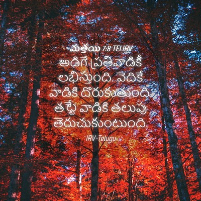 Picture 04 - మత్తయి 7:8 TELIRV - అడిగే ప్రతివాడికీ - Bible Verse Picture