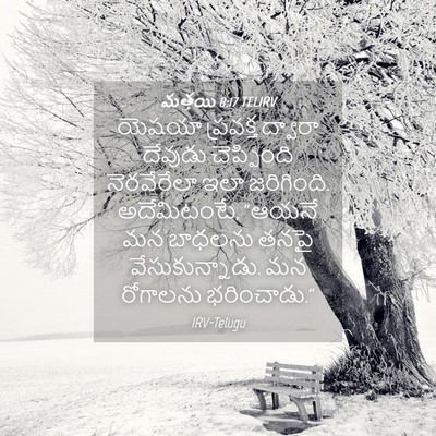 Picture 04 - మత్తయి 8:17 TELIRV - యెషయా ప్రవక్త - Bible Verse Picture
