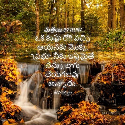 Picture 04 - మత్తయి 8:2 TELIRV - ఒక కుష్టు రోగి - Bible Verse Picture