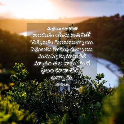 Picture 04 - మత్తయి 8:20 TELIRV - అందుకు యేసు - Bible Verse Picture