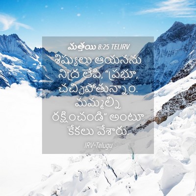 Picture 04 - మత్తయి 8:25 TELIRV - శిష్యులు ఆయనను - Bible Verse Picture