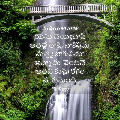 Picture 04 - మత్తయి 8:3 TELIRV - యేసు చెయ్యిచాపి - Bible Verse Picture