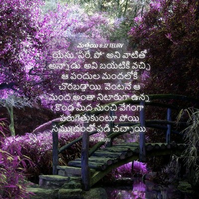 Picture 04 - మత్తయి 8:32 TELIRV - యేసు “సరే, పో” అని - Bible Verse Picture