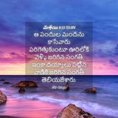 Picture 04 - మత్తయి 8:33 TELIRV - ఆ పందుల మందను - Bible Verse Picture