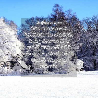 Picture 04 - మత్తయి 9:11 TELIRV - పరిసయ్యులు అది - Bible Verse Picture