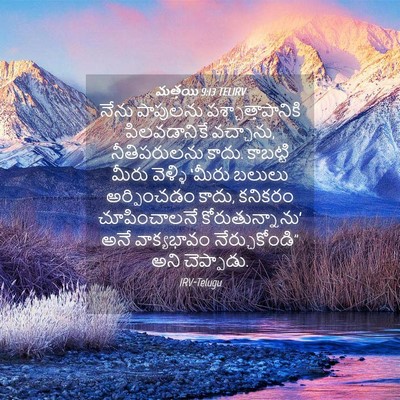 Picture 04 - మత్తయి 9:13 TELIRV - నేను పాపులను - Bible Verse Picture