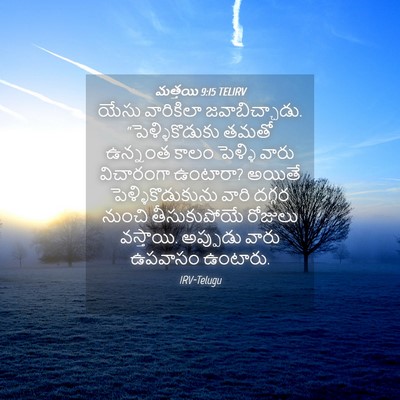 Picture 04 - మత్తయి 9:15 TELIRV - యేసు వారికిలా - Bible Verse Picture