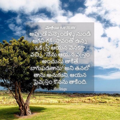 Picture 04 - మత్తయి 9:20 TELIRV - అప్పుడే - Bible Verse Picture