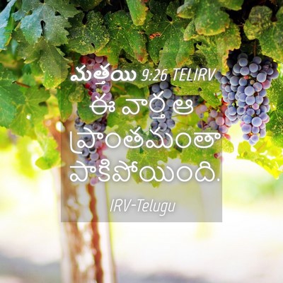 Picture 04 - మత్తయి 9:26 TELIRV - ఈ వార్త ఆ - Bible Verse Picture