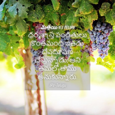Picture 04 - మత్తయి 9:3 TELIRV - ధర్మశాస్త్ర - Bible Verse Picture