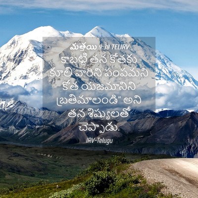 Picture 04 - మత్తయి 9:38 TELIRV - కాబట్టి తన కోతకు - Bible Verse Picture