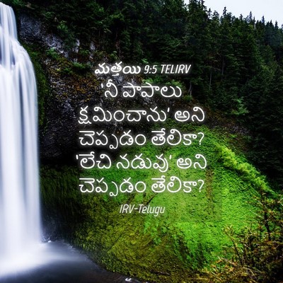 Picture 04 - మత్తయి 9:5 TELIRV - ‘నీ పాపాలు - Bible Verse Picture