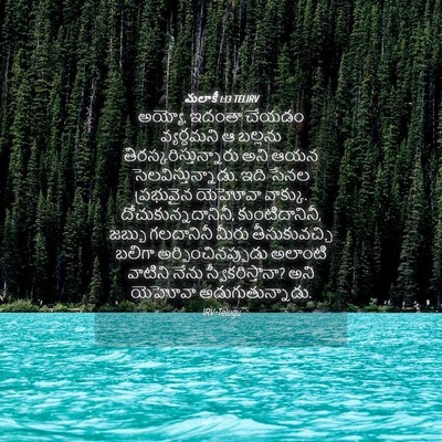 Picture 04 - మలాకీ 1:13 TELIRV - అయ్యో, ఇదంతా చేయడం - Bible Verse Picture