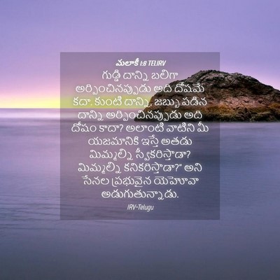 Picture 04 - మలాకీ 1:8 TELIRV - గుడ్డి దాన్ని - Bible Verse Picture