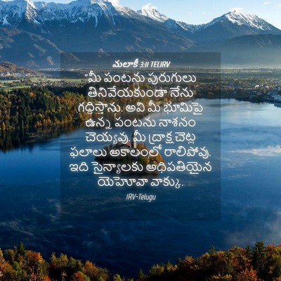 Picture 04 - మలాకీ 3:11 TELIRV - “మీ పంటను - Bible Verse Picture
