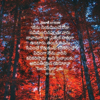 Picture 04 - మలాకీ 3:17 TELIRV - “నేను నియమించే - Bible Verse Picture