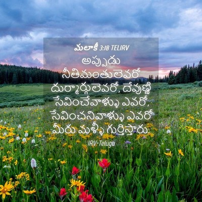 Picture 04 - మలాకీ 3:18 TELIRV - అప్పుడు - Bible Verse Picture