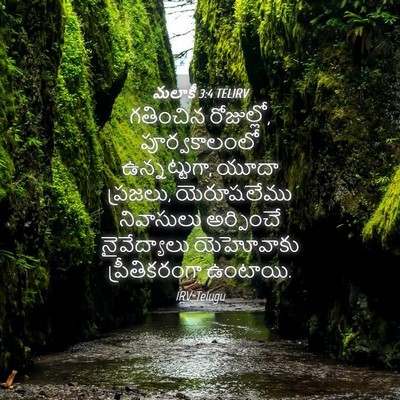 Picture 04 - మలాకీ 3:4 TELIRV - గతించిన రోజుల్లో, - Bible Verse Picture