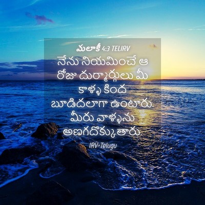 Picture 04 - మలాకీ 4:3 TELIRV - నేను నియమించే ఆ - Bible Verse Picture