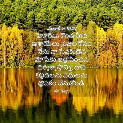 Picture 04 - మలాకీ 4:4 TELIRV - హోరేబు కొండ మీద - Bible Verse Picture