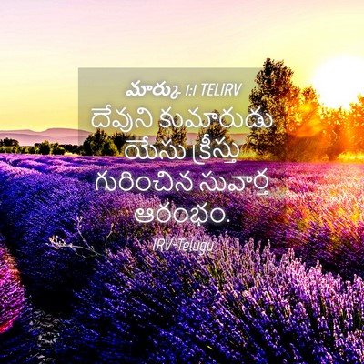 Picture 04 - మార్కు 1:1 TELIRV - దేవుని కుమారుడు - Bible Verse Picture