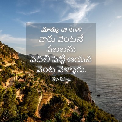 Picture 04 - మార్కు 1:18 TELIRV - వారు వెంటనే వలలను - Bible Verse Picture